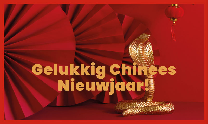 chinees nieuwjaar 2025 thumb